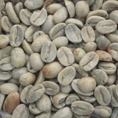 Green Coffee Beans / Mexican Cepco Oaxaca / 1 Pound / UNROASTED