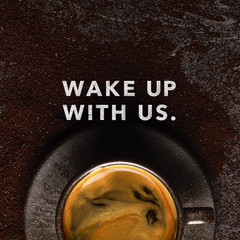 Coffee, Decaf, Swiss Water Process, Dark Roast, Whole Bean, 10 Oz – Certified Or