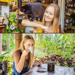 Civet Cat Coffee Beans – Earthy Flavor, Bold Aroma []