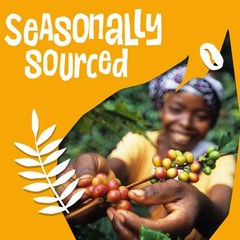 Fairtrade Organic Coffee, Whole Bean Espresso Coffee (12 Oz Bag), Sweet Espre…