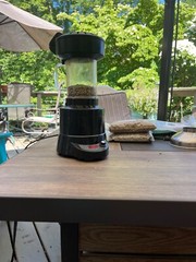 16oz Haiti Singing Rooster Zombie Coffee Fair trade small batch coffee Unique