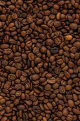 Moka & Co Medium Roast Whole Bean Coffee
