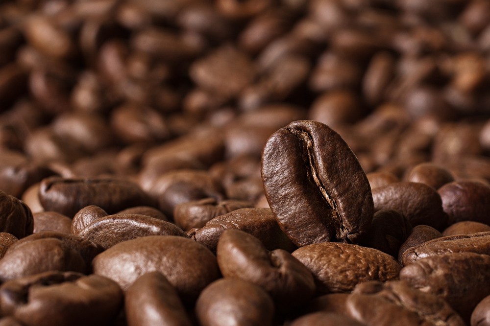 2025 COFFEE – Colombian Supremo Medellin – 8 oz bag – Medium Roast