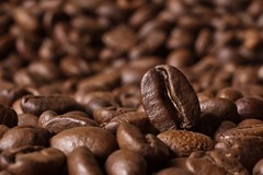 2025 COFFEE – Colombian Supremo Medellin – 12 oz bag – Medium Roast