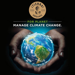 ¡Tierra! Organic for Planet Whole Bean Coffee, Light Roast, 100% Arabica, . Lb B