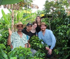 green coffee beans 5 pounds Colombian Anaerobic natural process.