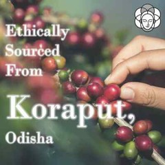 Kruti Coffee – Medium Dark Roast Premium Arabica Coffee Bean 250 G (Espresso)