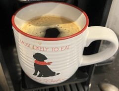 16oz Haiti Singing Rooster Zombie Coffee Fair trade small batch coffee Unique