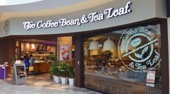 Ethiopia Yirgacheffe Whole Bean Coffee Single Origin Light Roast 16 oz