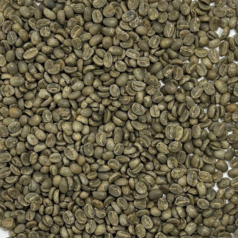 Green Coffee Beans / Haitian Blue Pine /Norde / 5 Pound / UNROASTED