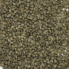 Green Coffee Beans / Haitian Blue Pine /Norde / 5 Pound / UNROASTED