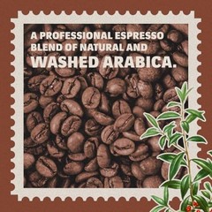 Whole Bean Coffee Medium Roast 2.2LB Bag 100 Arabica Aromatic Balanced For Drip