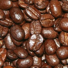 Flavored Coffee Pecan Caramel Cream
