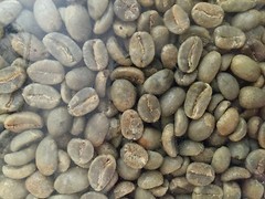 19 lbs. Colombia supremo 17/18 green coffee beans for home roasters