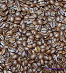 Café Duran Best Panama Whole Roasted Coffee Beans 360Gr (12.7Oz) Freshly Importe