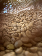 Lola Savannah Texas Pecan Whole Bean Caffeinated Coffee, 2lb