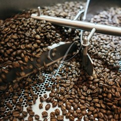 20 lb COMBO: MED AND DARK ROAST 100% Jamaica Blue Mountain Coffee~Free Shipping!