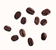 100% Colombian Coffee Beans Fresh Roasted 30lb Case 6 Bags 5 lbs Ea Med Roast