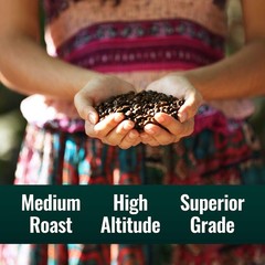 Organic Clean Coffee Classic, Mold & Mycotoxin Free, Low Acidity, 12 oz