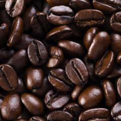 100% JAMAICAN BLUE MOUNTAIN COFFEE BEANS DARK ROASTED 2 TO 6 POUNDS 1 POUND BAGS