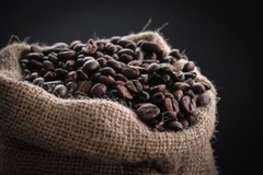 Chingate un Cafe Chiapas Roasted Beans Medium Roast 1 Units 12 oz Bags