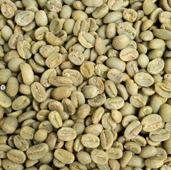Nicaragua La Fortuna – Specialty Grade Organic Co – Single Origin – Medium Roast
