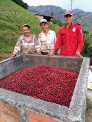 Colombian coffee bean. 100% artisanal organic, medium roast, 2packs/1lb