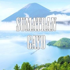 Sumatra Gayo Coffee, Whole Bean, Low Acid, Fair Trade, Fresh Roasted, Kosher, 16