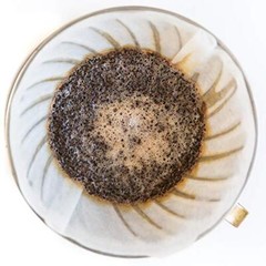 El Salvador Medium Roast 2.5lb – Flavor Notes of Honey Tangerine & Chocolate …