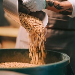 100% Kona Extra Fancy Coffee, 10 lbs, Fresh Roasted to Order or Green beans!