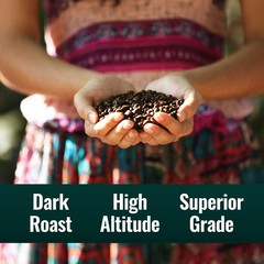 Organic Clean Coffee Dark Roast, Mold & Mycotoxin Free, 12 oz Whole Bean