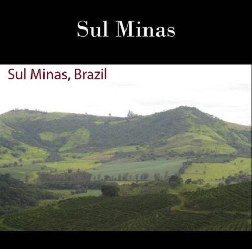10 lbs BRAZIL SUL MINAS NATURAL PROCESS (AAA) GREEN COFFEE BEANS FREE SHIPPING