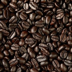 KIRKLAND SIGNATURE FRENCH ROAST COFFEE 2.5 LB