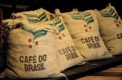 2 lb 5 lb 10 lb BRAZIL BRASIL FRESH ROASTED SINGLE ORIGIN COFFEE BEANS – ARABICA