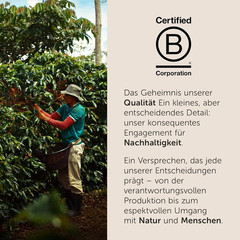 illy Arabica Selection Nicaragua Coffee Beans 100% Arabica 8.80oz / 250g Tin