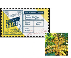 Brazilian Original Yellow Bourbon Roasted Coffee Arabic Turkish Greek Grain 500g