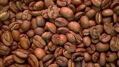 Coffee Beans / Sumatra Mandheling/ 1 Pound / ROASTED