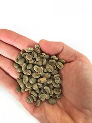 19 lbs. Colombia supremo 17/18 green coffee beans for home roasters