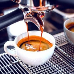 Java Arabica Coffee Beans Fresh Roasted Single Origin Indonesian Whole Bean 1kg