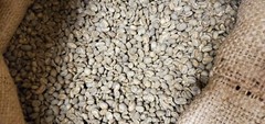 5 LB INDONESIA SUMATRA MANDHELING UNROASTED GREEN COFFEE BEANS – ARABICA