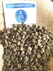 Swiss Water Decaf – 5 lbs. – Green Colombia Coffee Beans For Home Roasters
