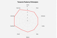 Unroasted Coffee Bean – 5lb – single Origin from Tanzania Peaberry Kilimanjaro