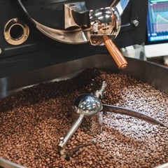 Best seller Sumatra Mandheling Coffee Beans | Fresh Roasted Arabica Premium 500g