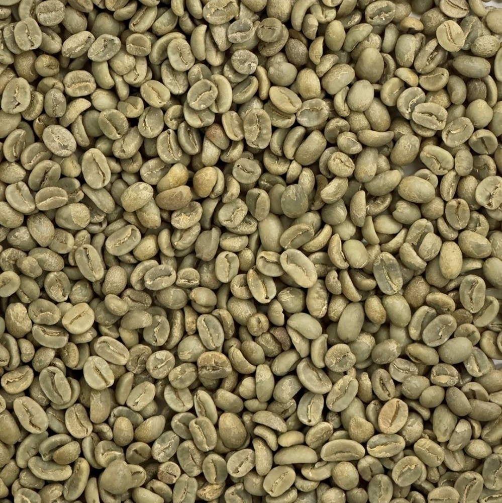Green Coffee Beans / Peruvian San Martin / 5 Pound / UNROASTED