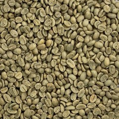 Green Coffee Beans / Peruvian San Martin / 1 Pound / UNROASTED