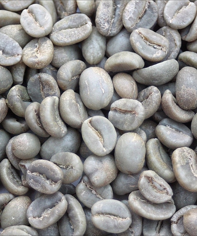 Green Coffee Beans / Colombian Reserva Del Patron / 1 Pound / UNROASTED
