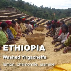 Ethiopia washed Yirgacheffe, unroasted green coffee, small farm coop, 4lbs