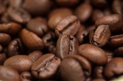 2026 Premium Roast Coffee – 1/2 Pound – Fresh Roasted Daily – Whole Bean Coffee