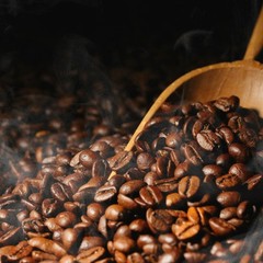 Best seller Sumatra Mandheling Coffee Beans | Fresh Roasted Arabica Premium 1kg