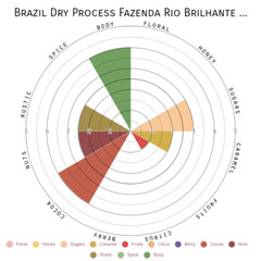 Brazilian Radiance – 312g, 11oz Bag